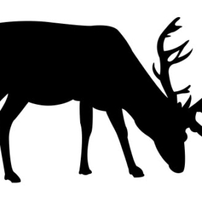 Deer Fat Silhouette DXF File