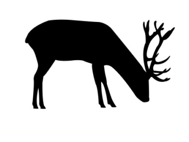 Deer Grazing Silhouette DXF File