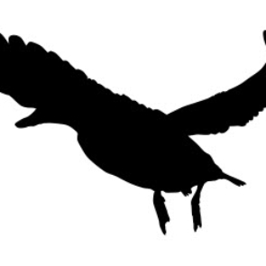 Duck silhouette dxf file