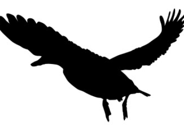 Duck silhouette dxf file