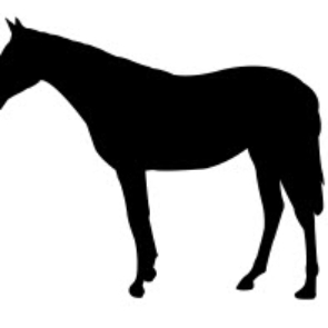 Horse Standing Silhouette dxf file