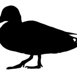 Mallard Duck fat dxf file