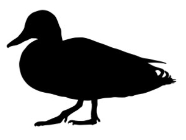 Mallard Duck fat dxf file