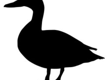 Mallard Duck side silhouette dxf file