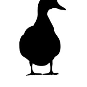 Mallard Ducks sitting dxf file