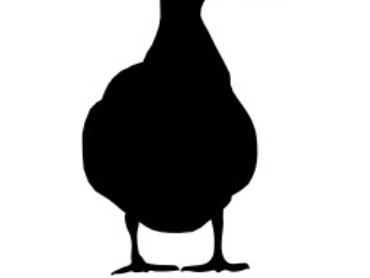 Mallard Ducks sitting dxf file