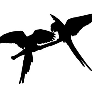 Parrot Pair Silhouette dxf file