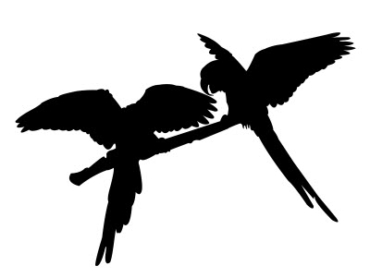 Parrot Pair Silhouette dxf file