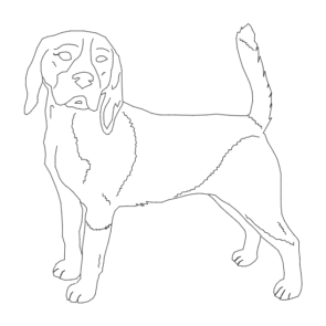 Beagle good 2 dxf File